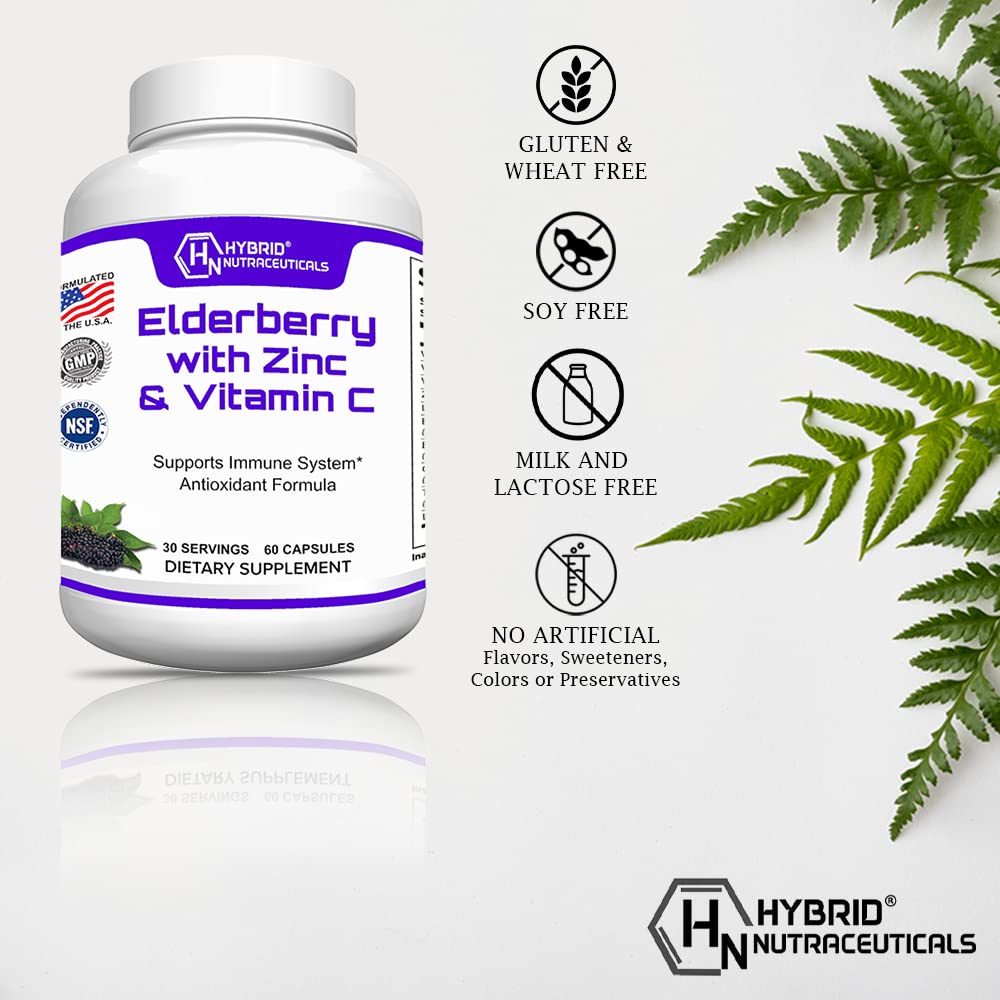 Hybrid Nutraceuticals Black Elderberry Capsules with Echinacea, Turmeric, Garlic, Zinc, Vitamins C, E and B6, Probiotics and L-Glutamine, 60 Capsules