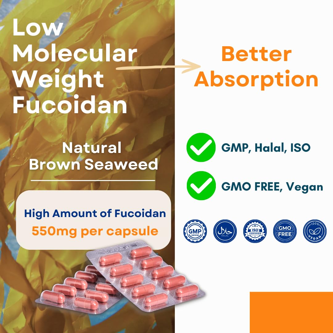 FUCOHIQ ONCOFUCO Oligo Fucoidan 550 mg Veggie Capsules, 360 Capsules