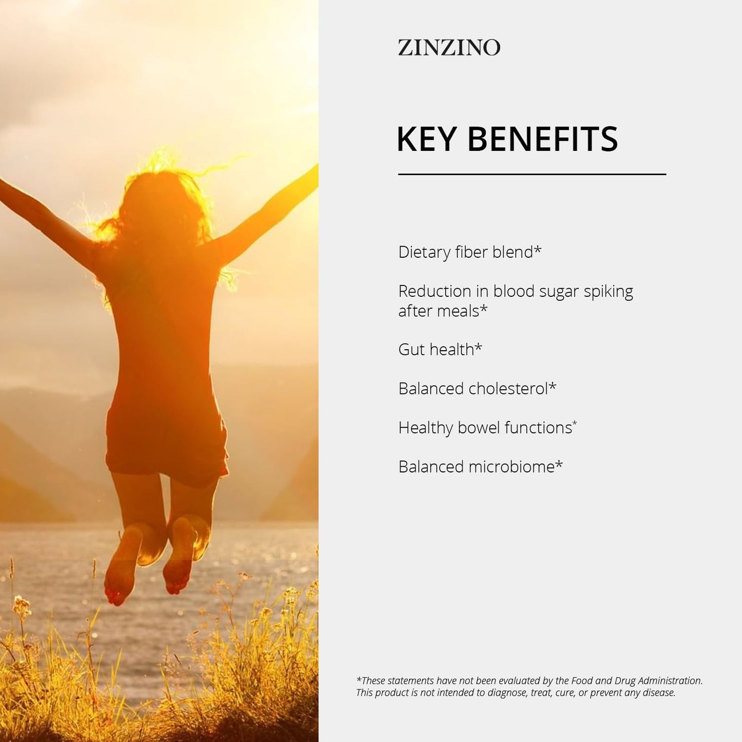 ZINZINO ZinoBiotic+ Fiber Blend Powder 6.3 oz