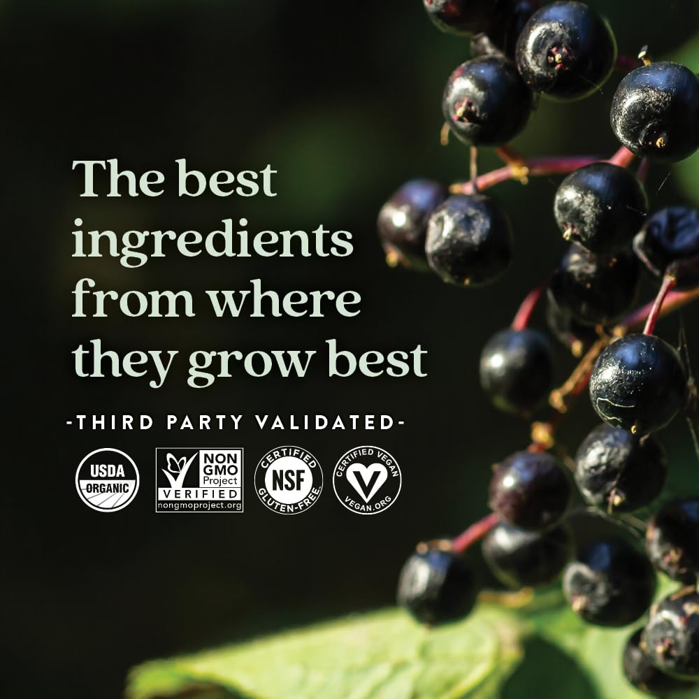 New Chapter Elderberry Gummies for Kids 2+ 30 Gummies