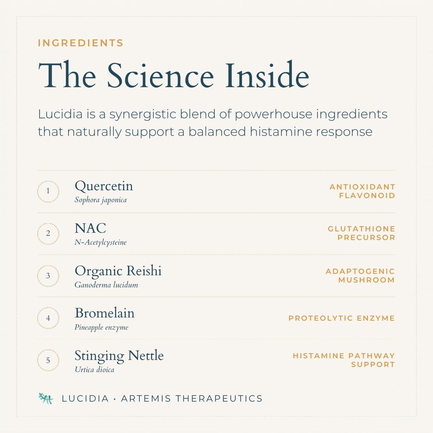AT ARTEMIS THERAPEUTICS Lucidia Quercetin with NAC, Bromelain, Reishi & Stinging Nettle 60 Capsules