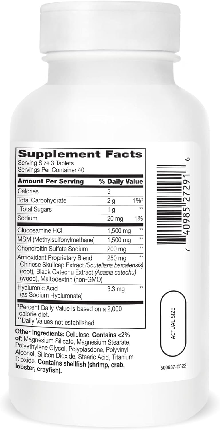 21st Century Glucosamine Chondroitin Advanced, Plus 1500mg MSM, 120 Tablets