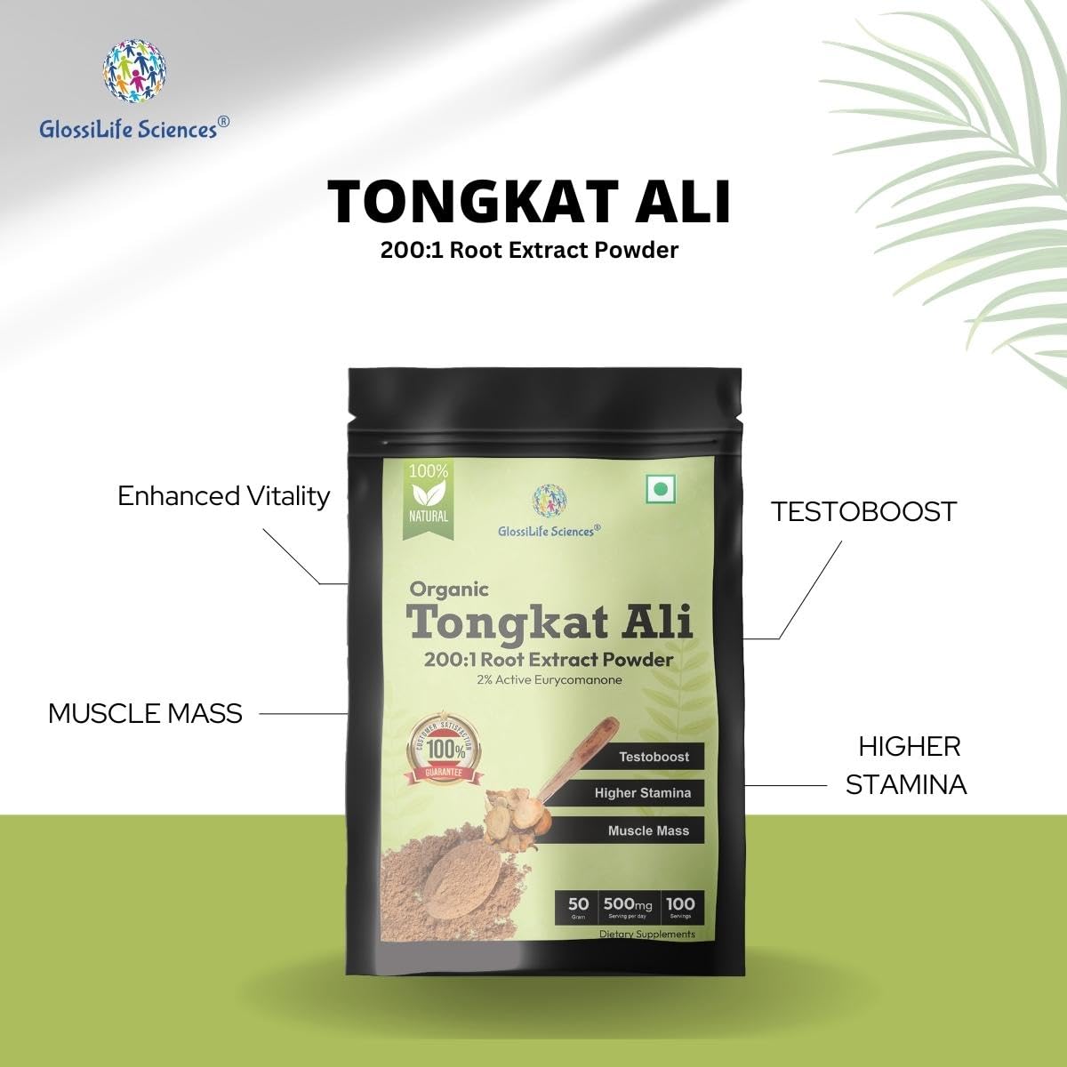 GlossiLife Sciences Tongkat Ali Extract Powder, 3.5 oz