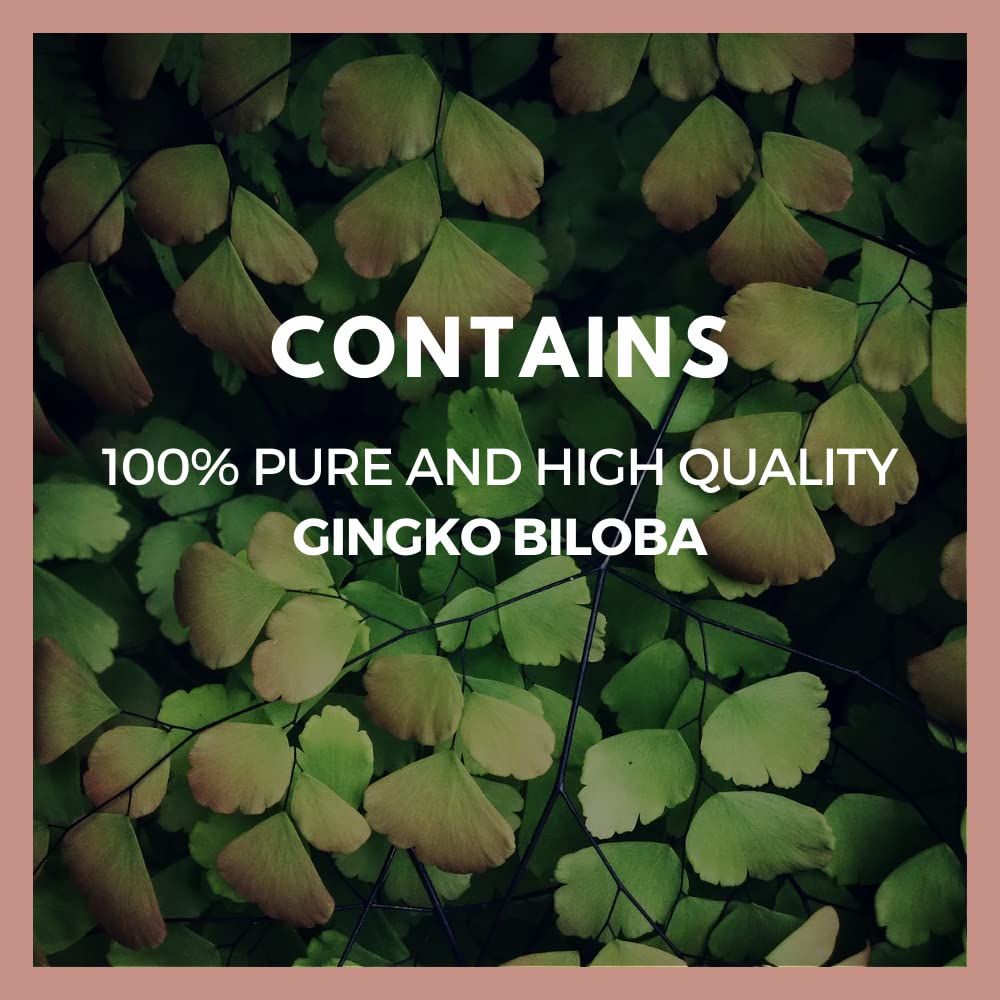 Remedy’s Nutrition Ginkgo Biloba Capsules 60