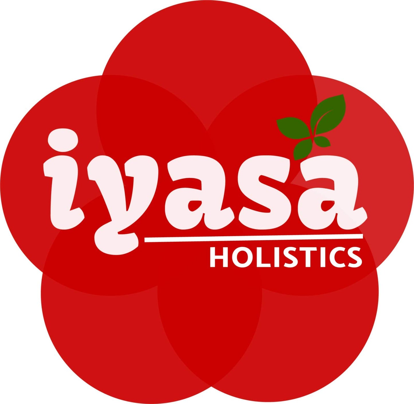 Iyasa Holistics Haritaki Organic Powder 8 Ounce