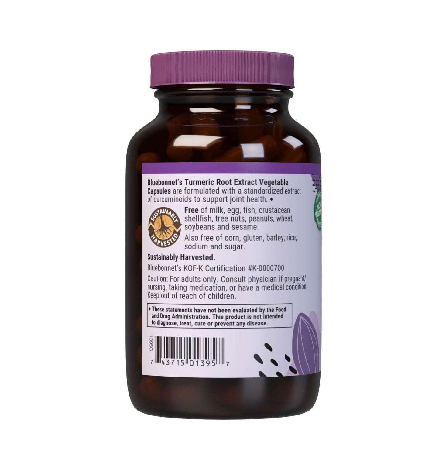 BlueBonnet Turmeric Root Extract Supplement Capsules 120