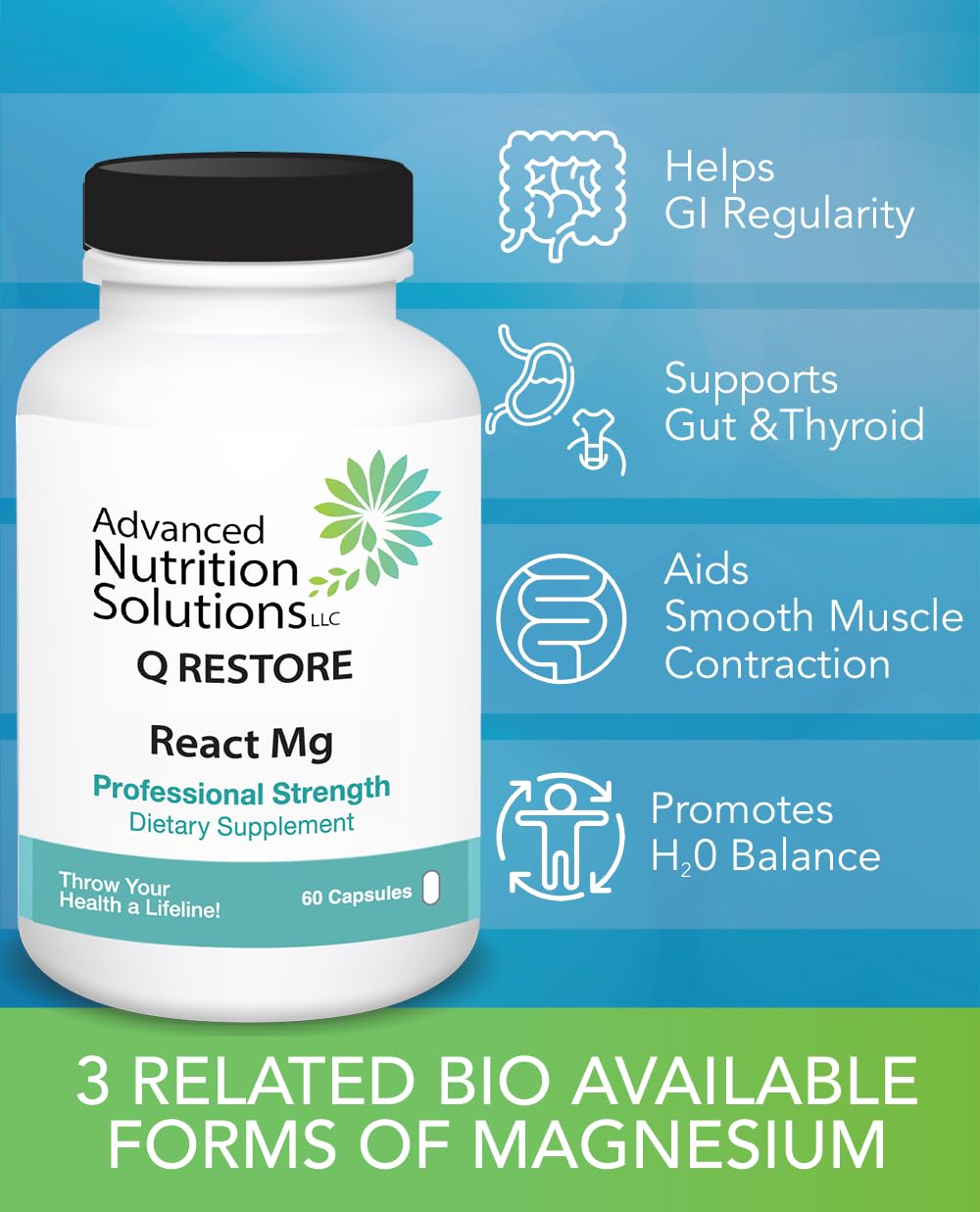 Advanced Nutrition Solutions LLC Q Restore React Mg 60 Capsules
