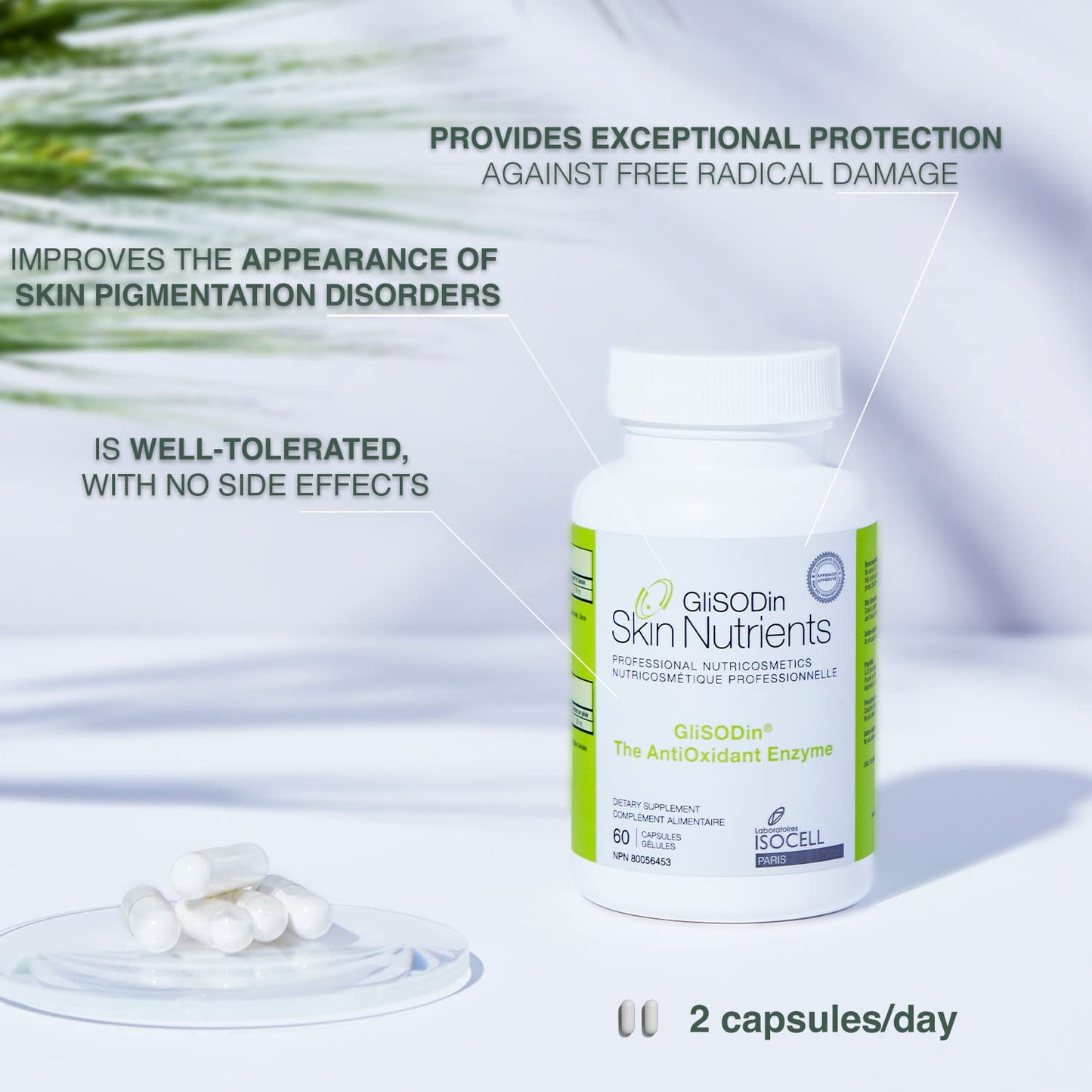 GliSODin Skin Nutrients The Antioxidant Enzyme 60 Capsules