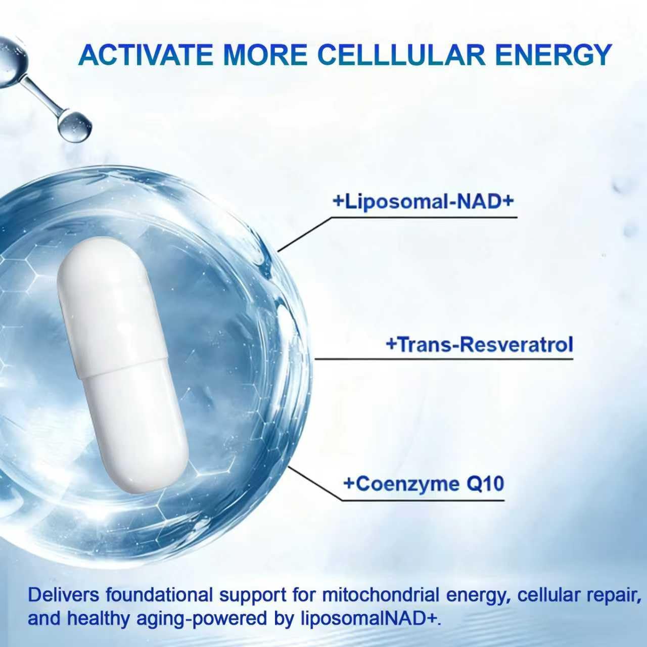 23WELL NAD+ Ultra Cell Care Capsules with Liposomal NAD+ Calcium Alpha Ketoglutarate & Trans-Resveratrol, 60 Capsules