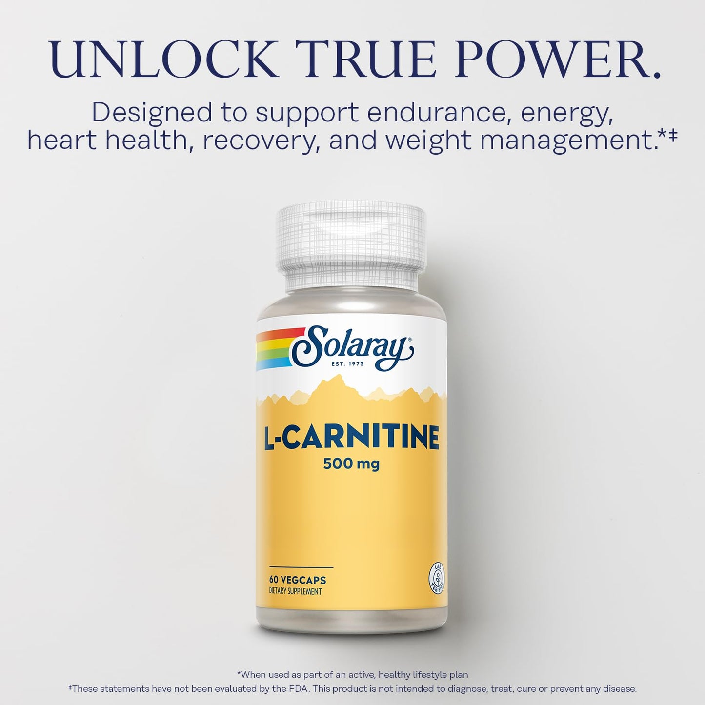 Solaray L-Carnitine 500 mg Free-Form Capsule, 60 VegCaps