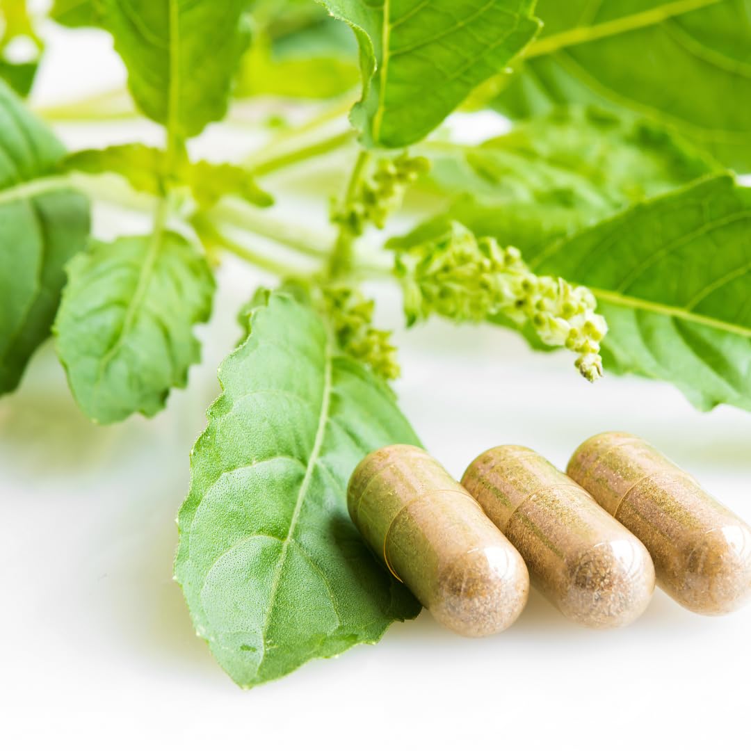PURE ORIGINAL INGREDIENTS Calcium Carbonate Capsules 365