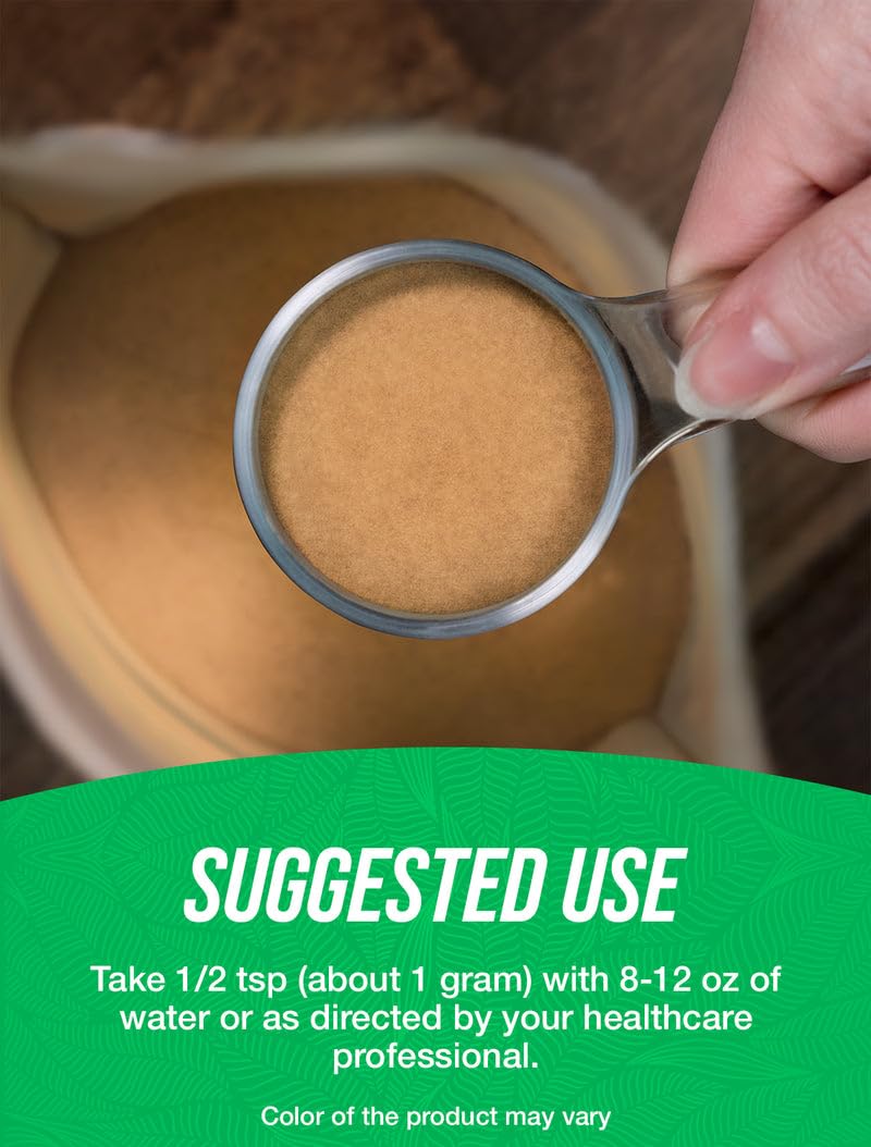 BulkSupplements Yacon Root Extract Powder - Sugar Substitute, Natural Fiber Sweetener - Gluten Free, 17.6 oz
