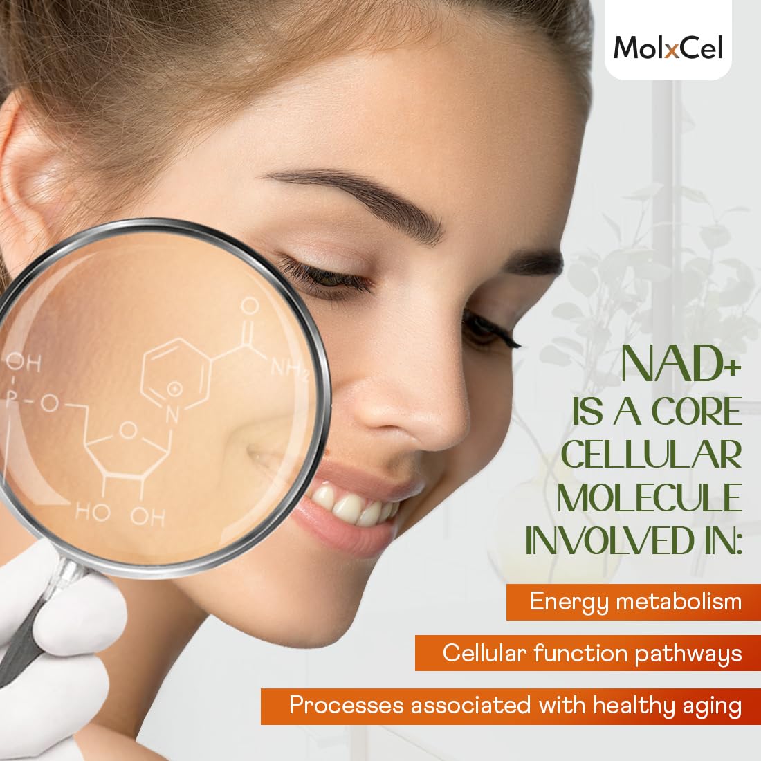 MolxCel Liposomal NAD Supplement with Resveratrol 60 Capsules