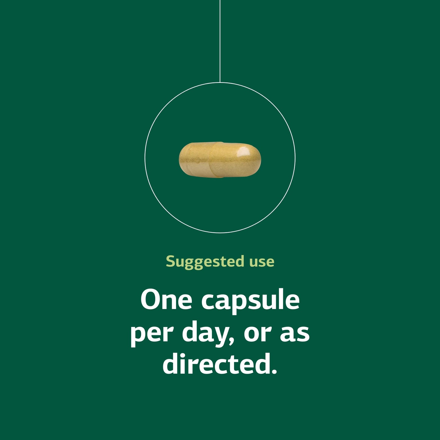 Standard Process Inc. Cruciferous Complete Capsules 90
