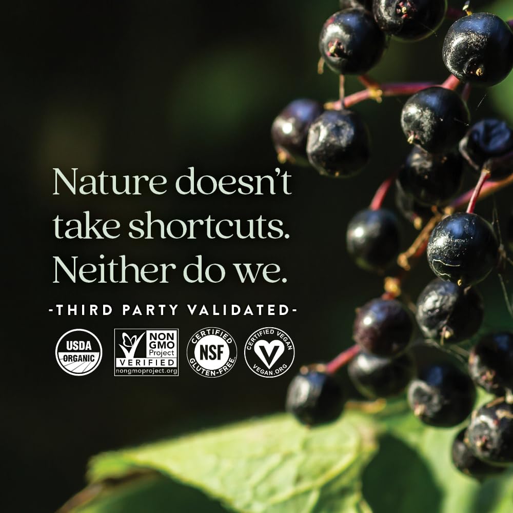 New Chapter Elderberry Gummies for Adults & Kids (2+), 60 Count