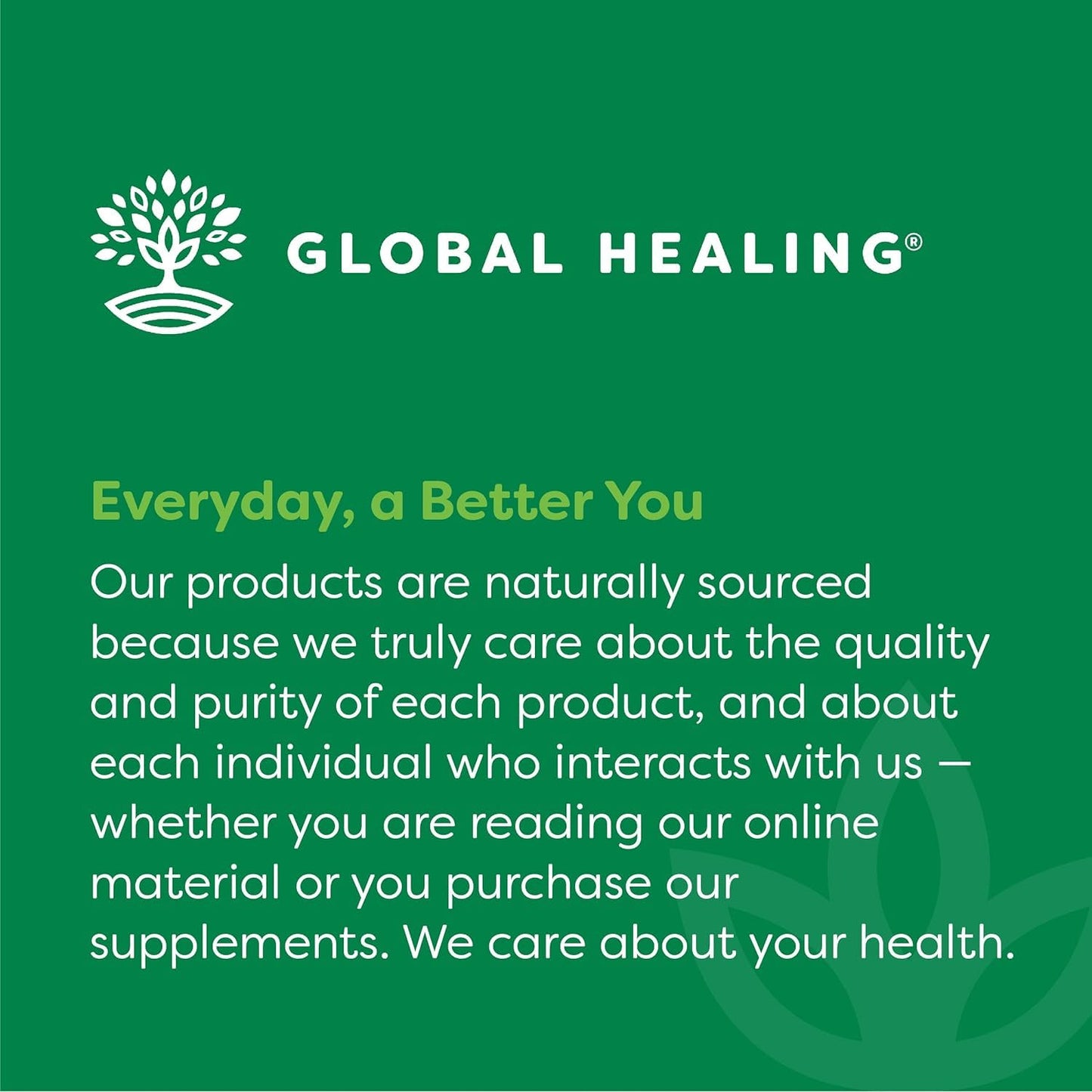 Global Healing Center Quercetin Capsule 120 Count