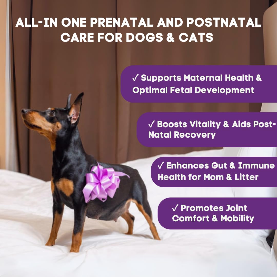 PREGNAPAWS Prenatal Vitamins for Dogs & Cats – Pre & Postnatal Supplement with Probiotics, Glucosamine, MSM, CoQ10, & Essential Vitamins – Supports Pregnancy, Nursing & Recovery – 90 Soft Chews
