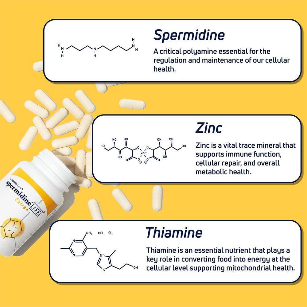 LONGEVITY LABS + spermidineLIFE Natural Supplement Capsule, 60 Capsules