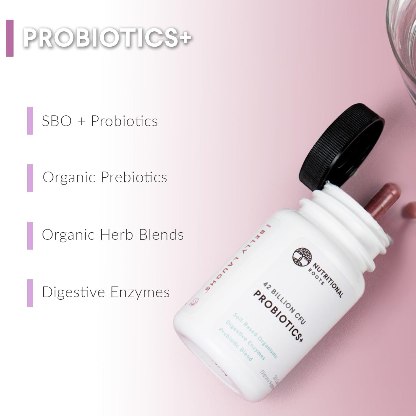 Nutritional Roots Probiotics + Soil-Based Organisms + Prebiotics with Digestive Enzymes Delay Release Dietary Supplement Capsules, 30 Count