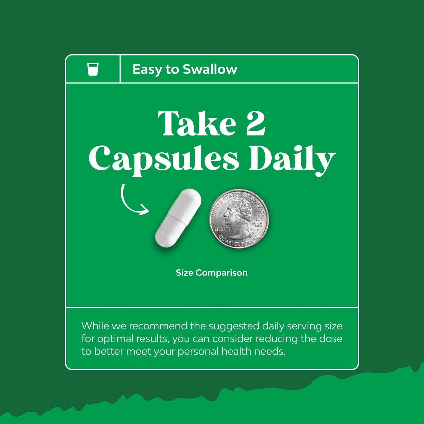 Natures Craft TUDCA Capsule 500mg, 60 Count