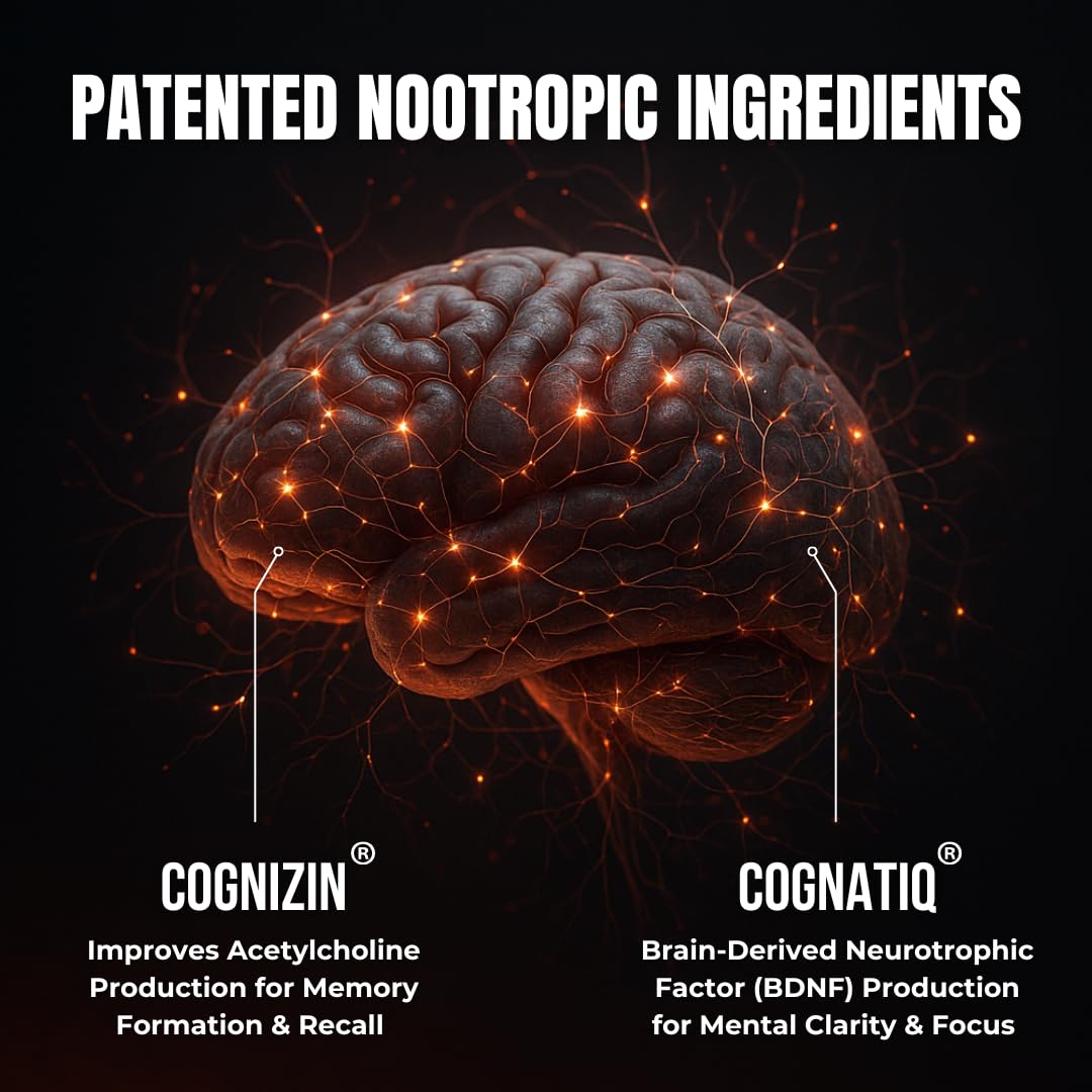 HUMBLEROOTS PERFORMANCE Advanced Focus Nootropic Brain Supplement Capsules, 90 Count