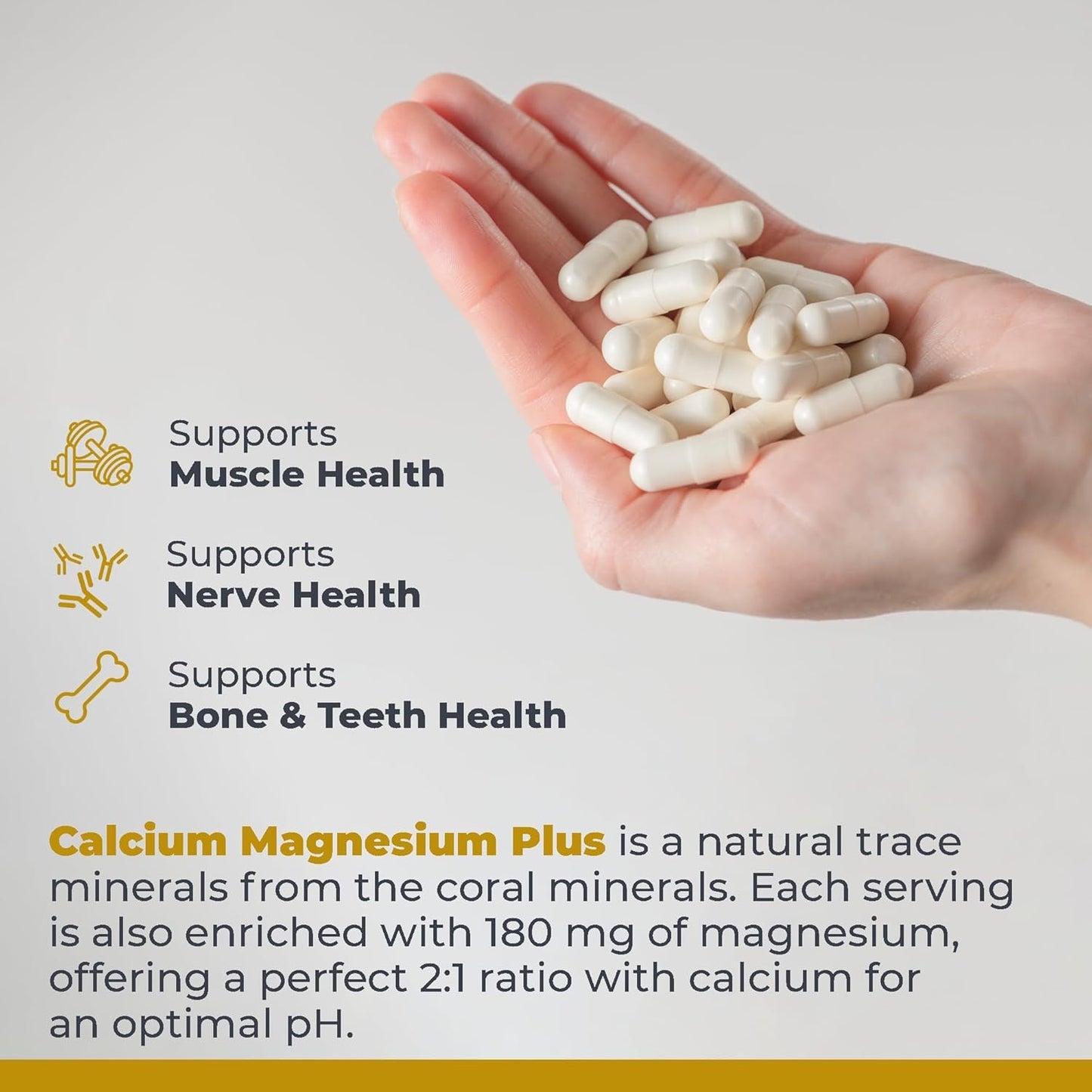 Premier Research Labs Calcium Magnesium Plus 90 Capsules