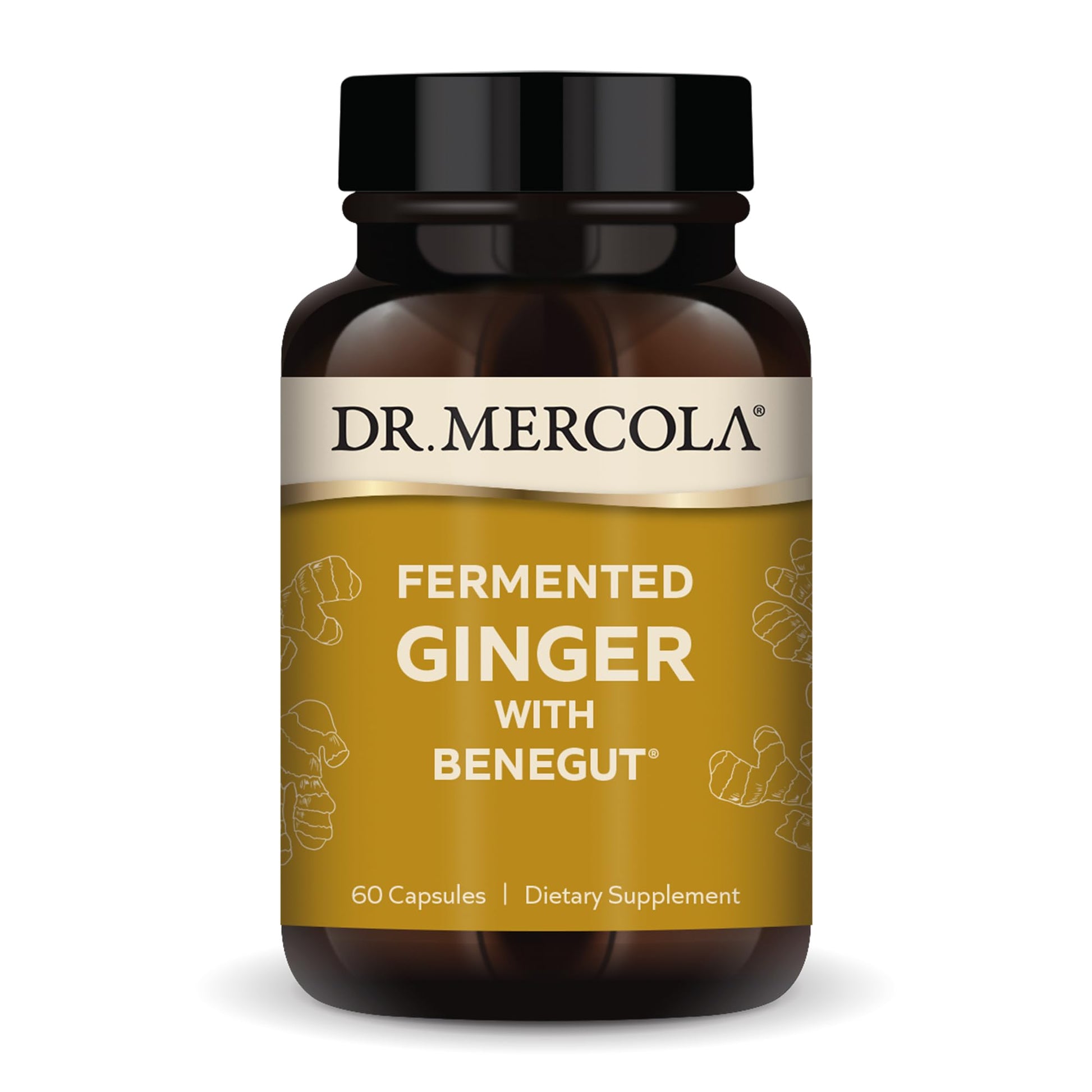 Dr. Mercola Fermented Ginger with Benegut Capsule, 60 Count