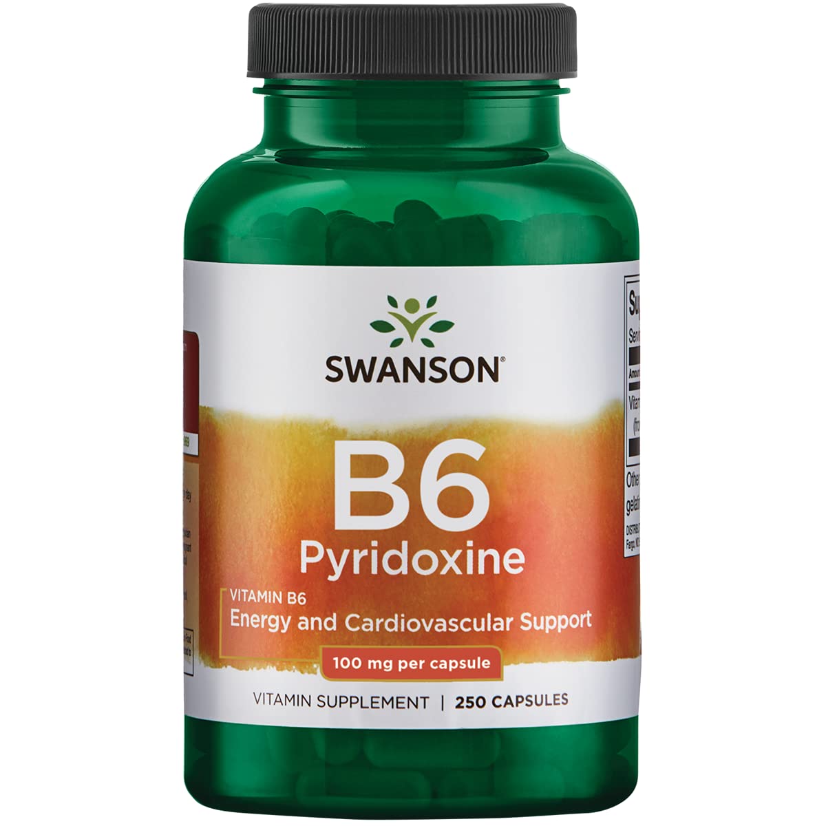 Swanson Vitamin B6 Pyridoxine Capsules 250 Count