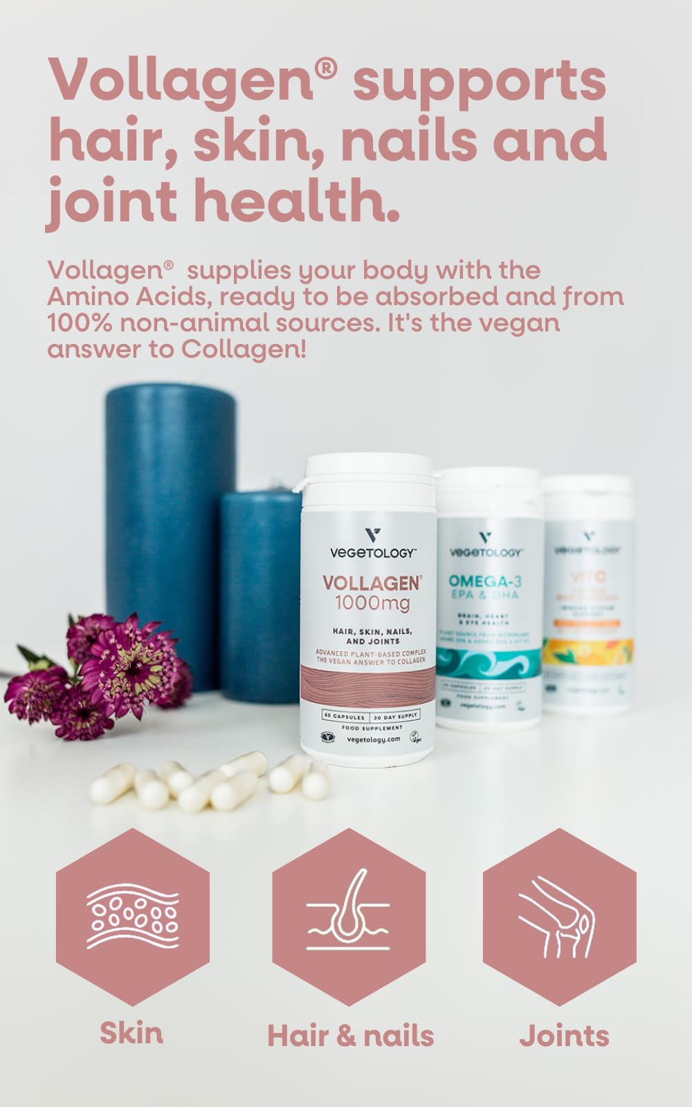 VEGETOLOGY Vollagen Plant Based Complex Capsules 60