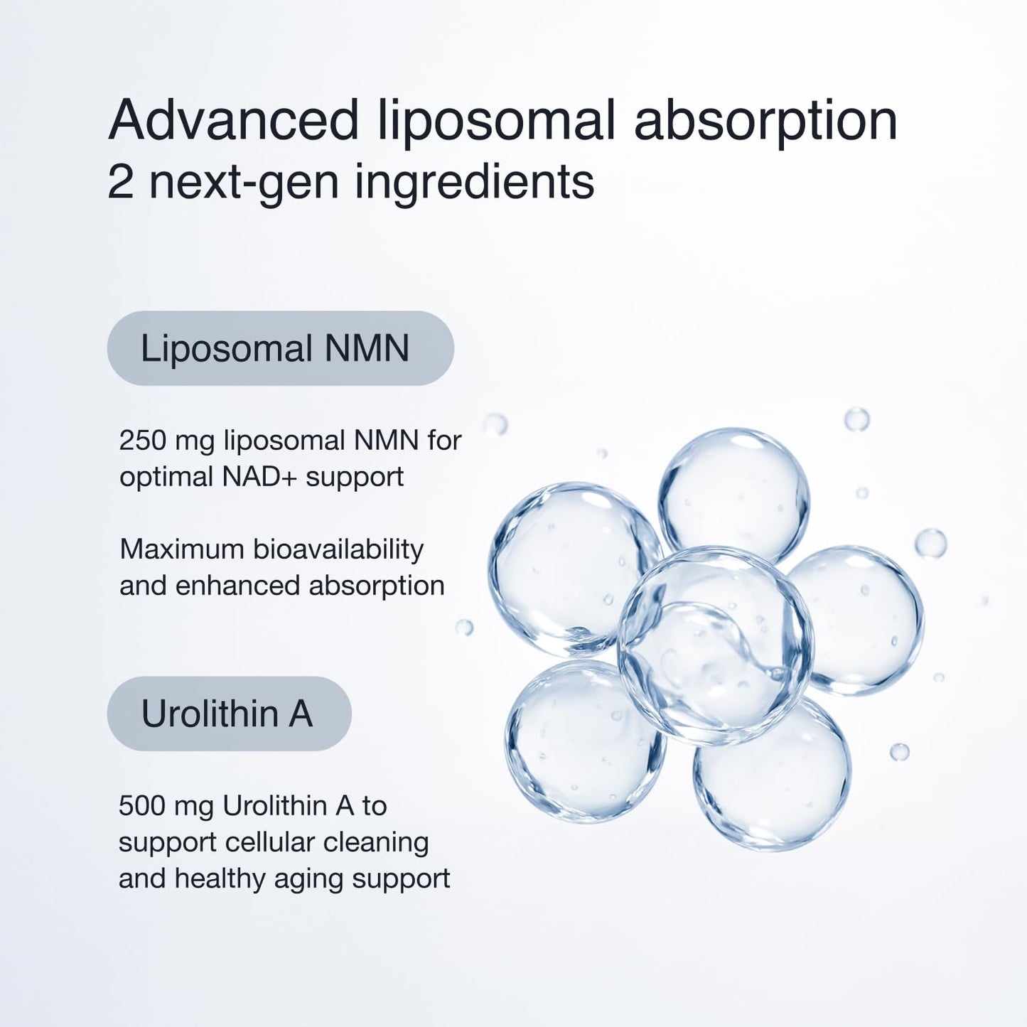 InfiniWell Cellular Energy Pro Urolithin A + Liposomal NMN Supplement Capsule 60 Capsules