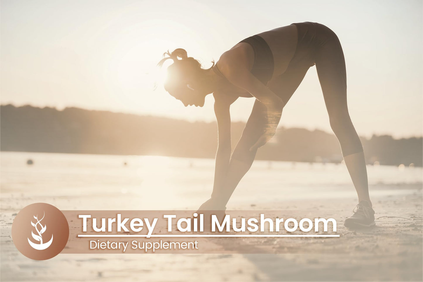 PURE ORIGINAL INGREDIENTS Turkey Tail Mushroom Capsules, 100 Count