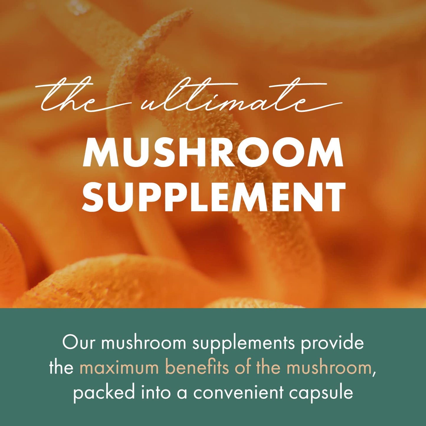 Pure Essence Labs MyPure Cordyceps 4X Mushrooms Capsules, 30 Count