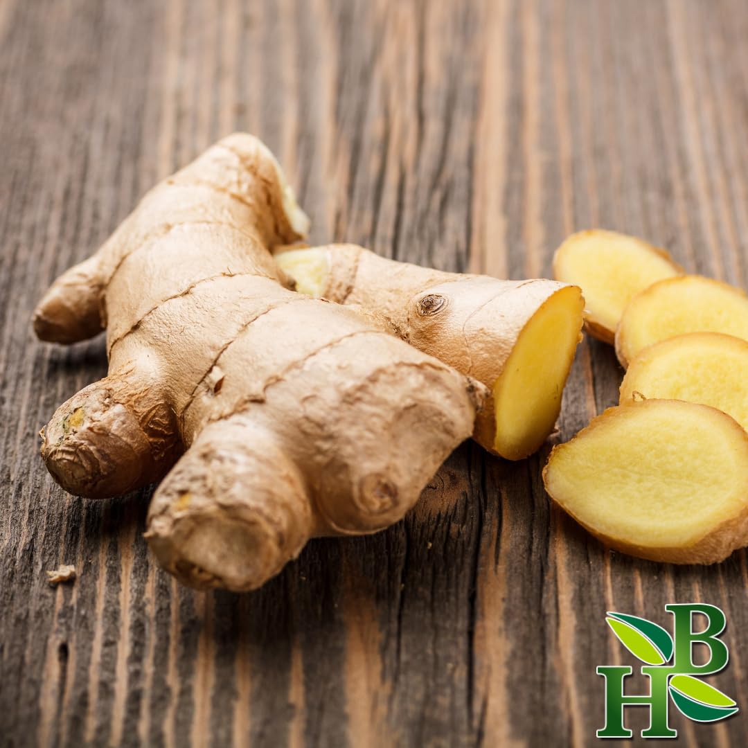 Herb To Body Ginger Root Powder, 4 oz