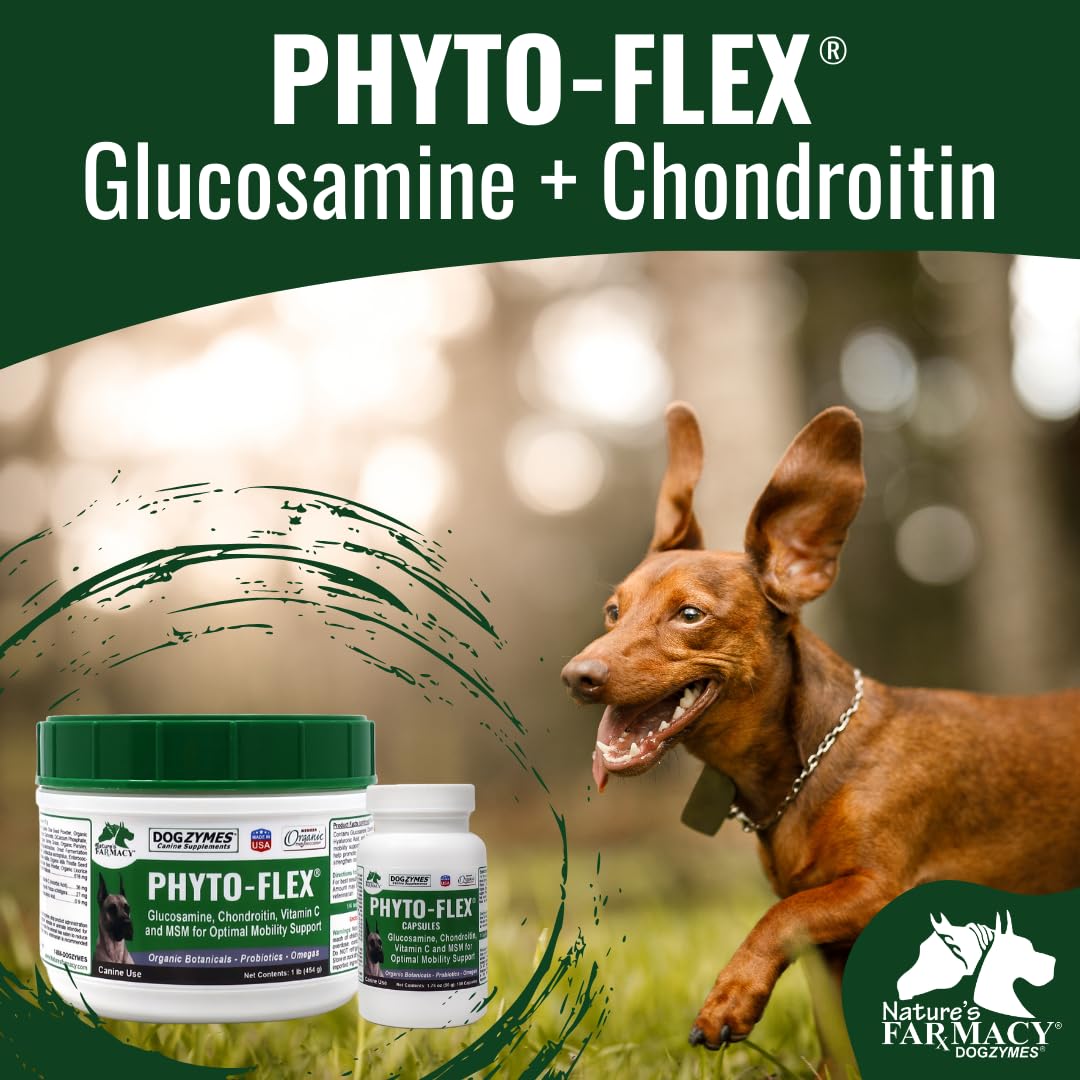 Dogzymes Phyto Flex Glucosamine, Chondroitin, MSM and Hyaluronic Acid Powder, 32