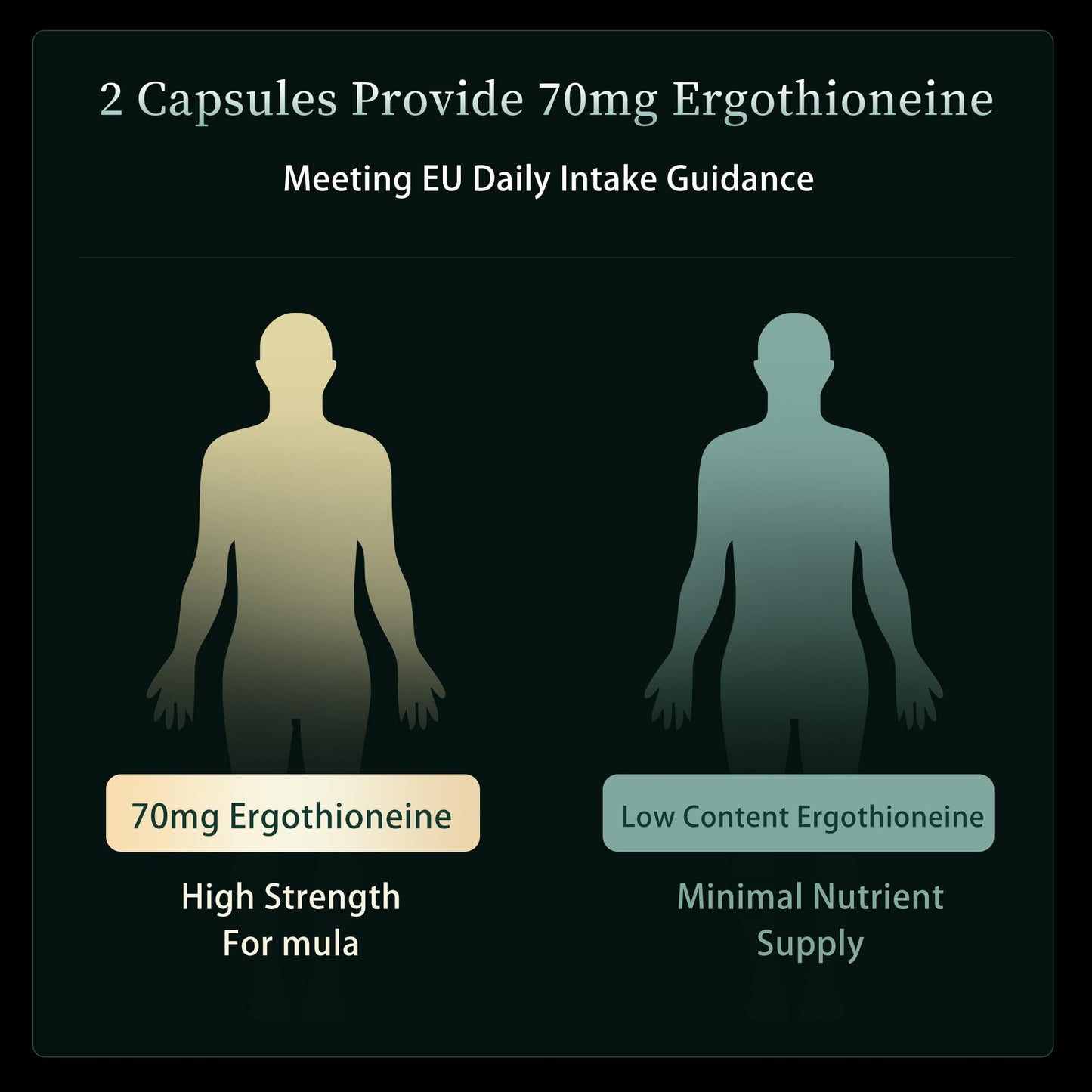 MixPower L-Ergothioneine (EGT) 70mg Capsules, 60 Count