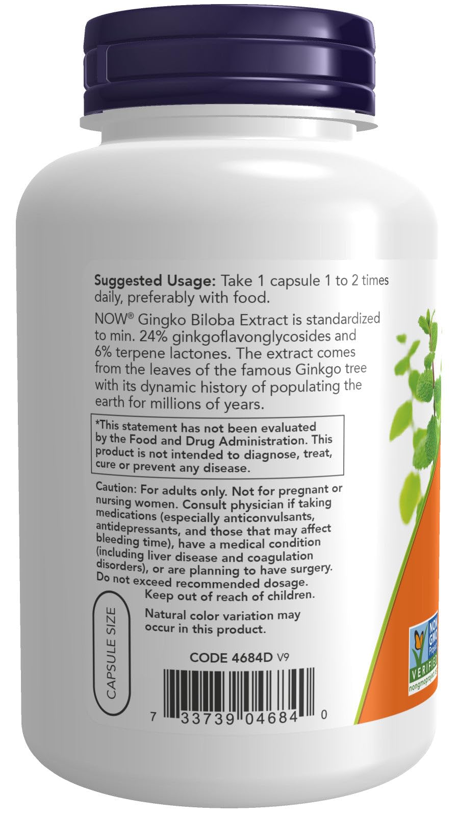 NOW Foods Ginkgo Biloba 60 mg Capsules, 1 Capsule