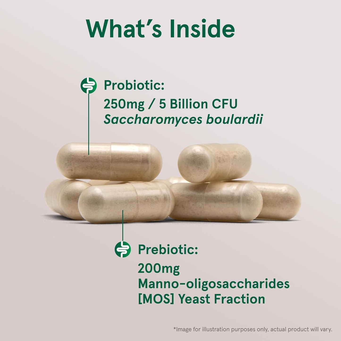 Jarrow Formulas Saccharomyces boulardii + MOS Probiotic + Prebiotic, 5 Billion Viable Organisms Per Serving, Delayed Release Veggie Caps, 180 Capsules