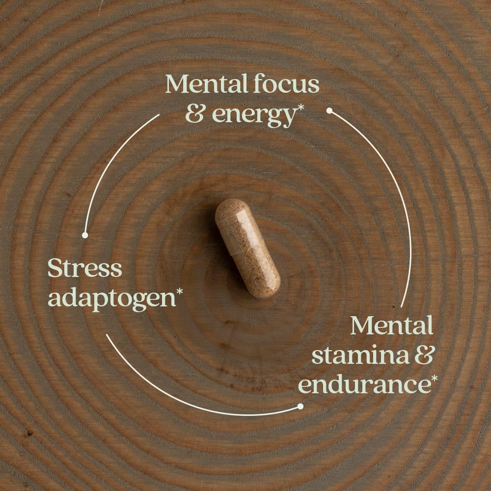 New Chapter Rhodiola Force 300mg with Potent Vegan Rhodiola for Mental Focus & Stamina, Endurance + Mood Support + Stress Adaptogen + Non-GMO Ingredients - 30 Capsules