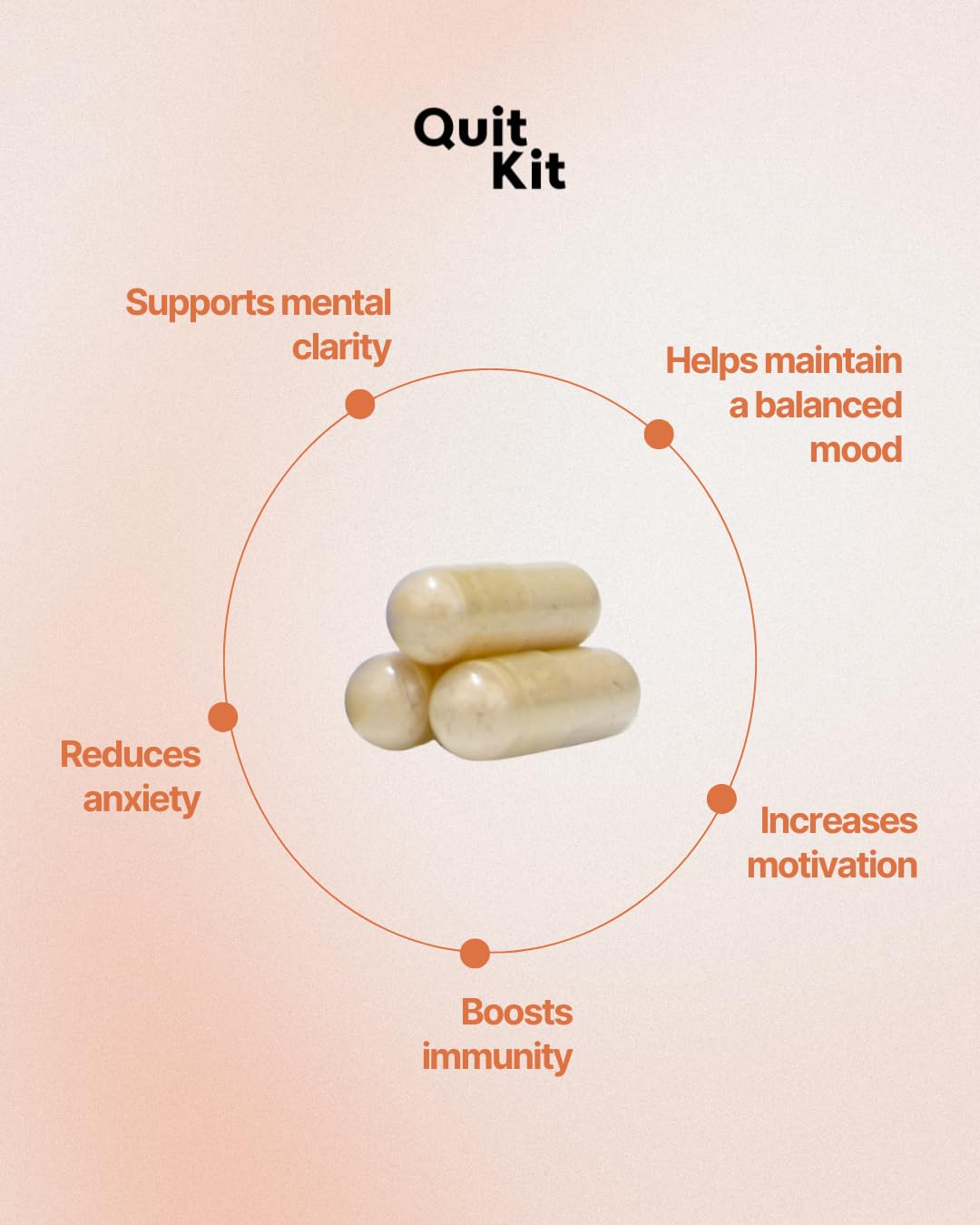 Quit Kit Morning Recovery - Energy & Focus Support, L-Dopa, NAC, B-Complex Capsule, 63 Count