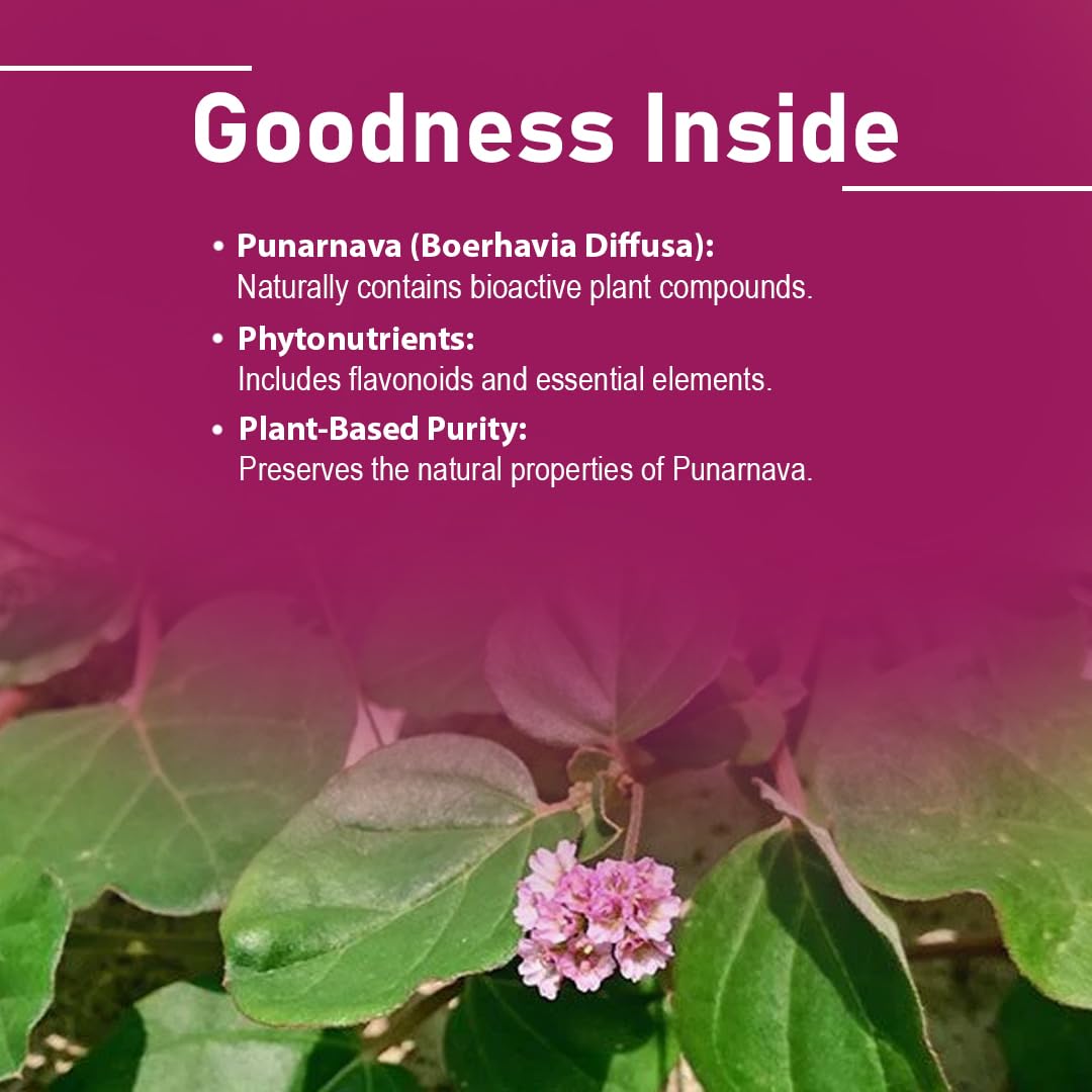 Minature Punarnava Tablets, 1 Tablet