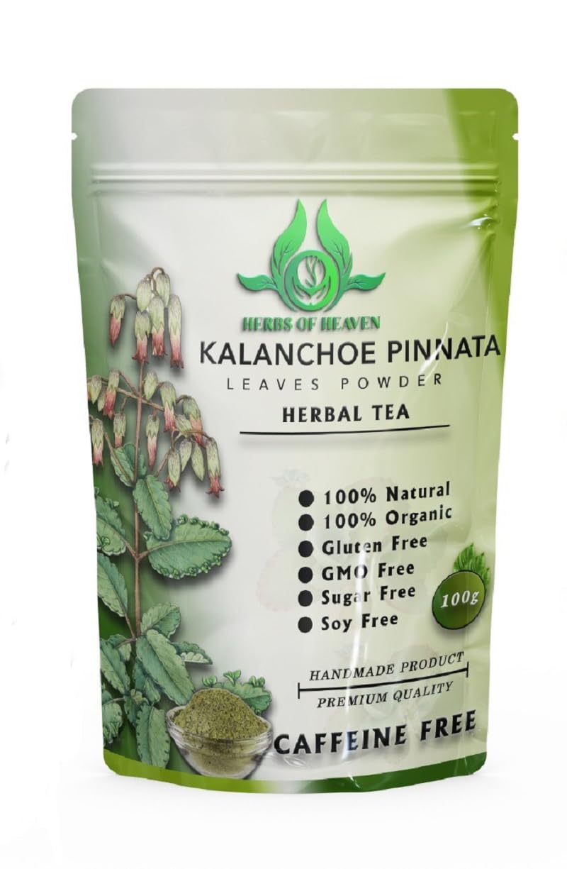 HERBS OF HEAVEN Kalanchoe Pinnata Leaves Powder 3.5 Ounces