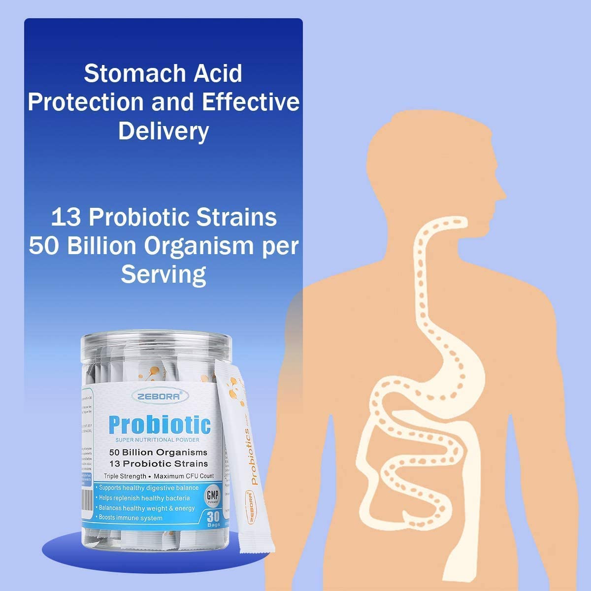 ZEBORA Probiotics & Prebiotics Powder for Digestive and Immune Health, 30 Bags