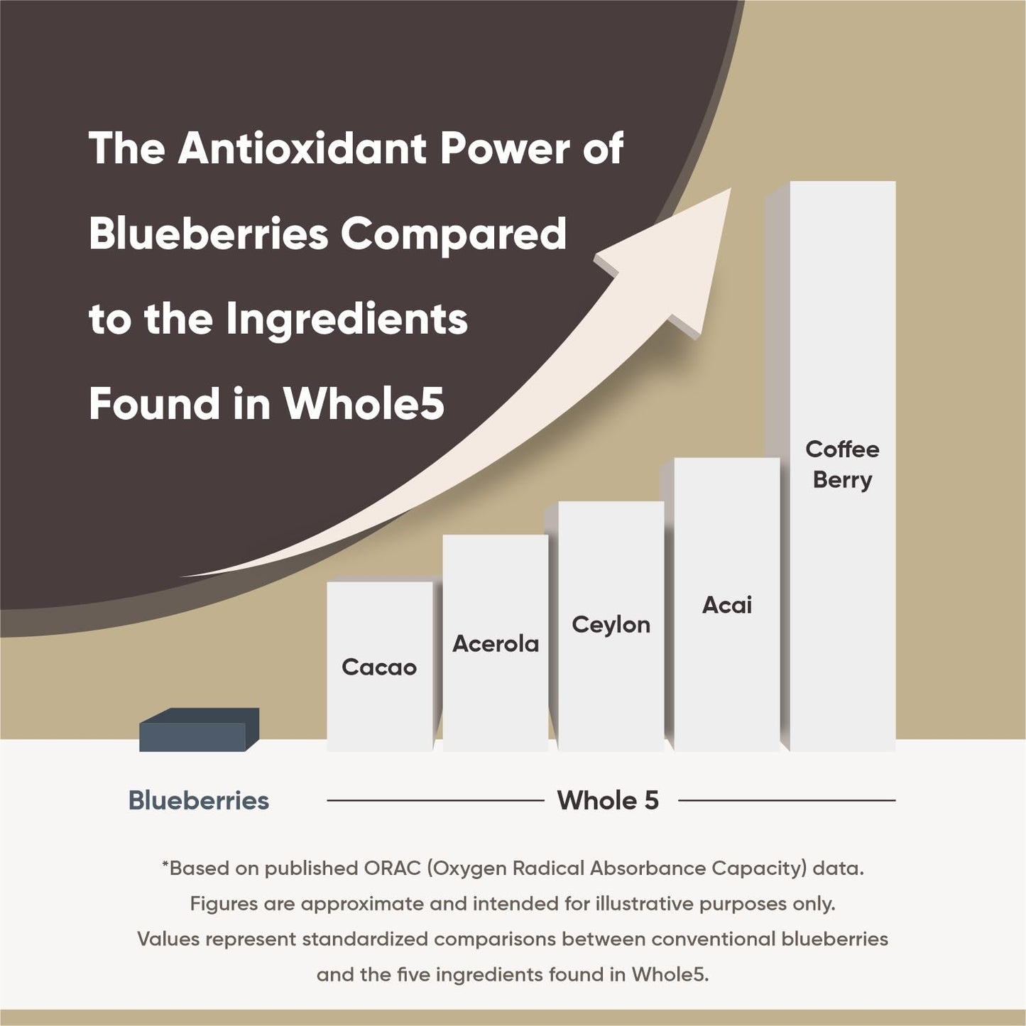 NFOCUS HEALTH Whole5 Antioxidant Superfood Powder Longevity Mix with Acai, Acerola Cherry, Coffee Fruit, Ceylon Cinnamon & Cacao - 8 oz