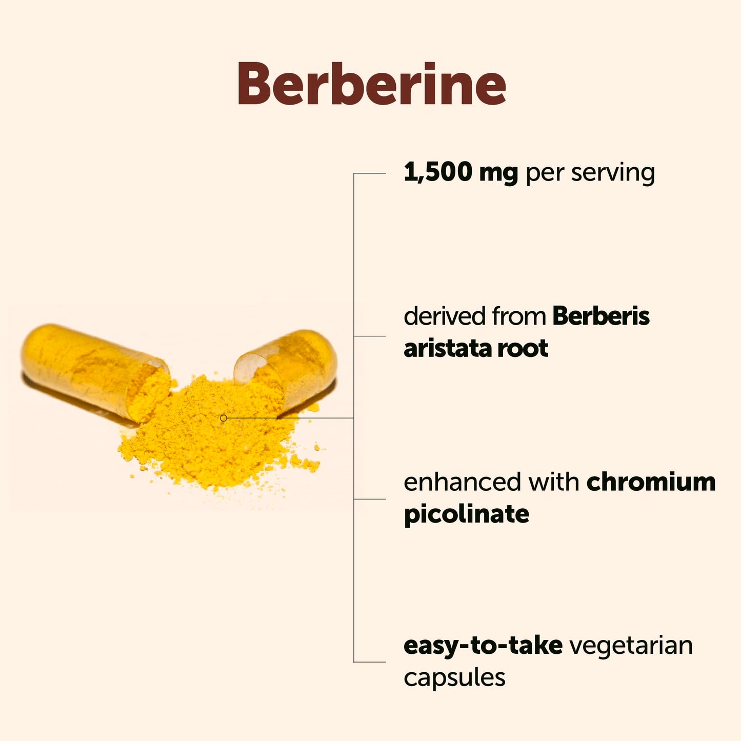 Micro Ingredients Berberine HCl with Ceylon Cinnamon 1,500 mg Per Serving Capsules 240