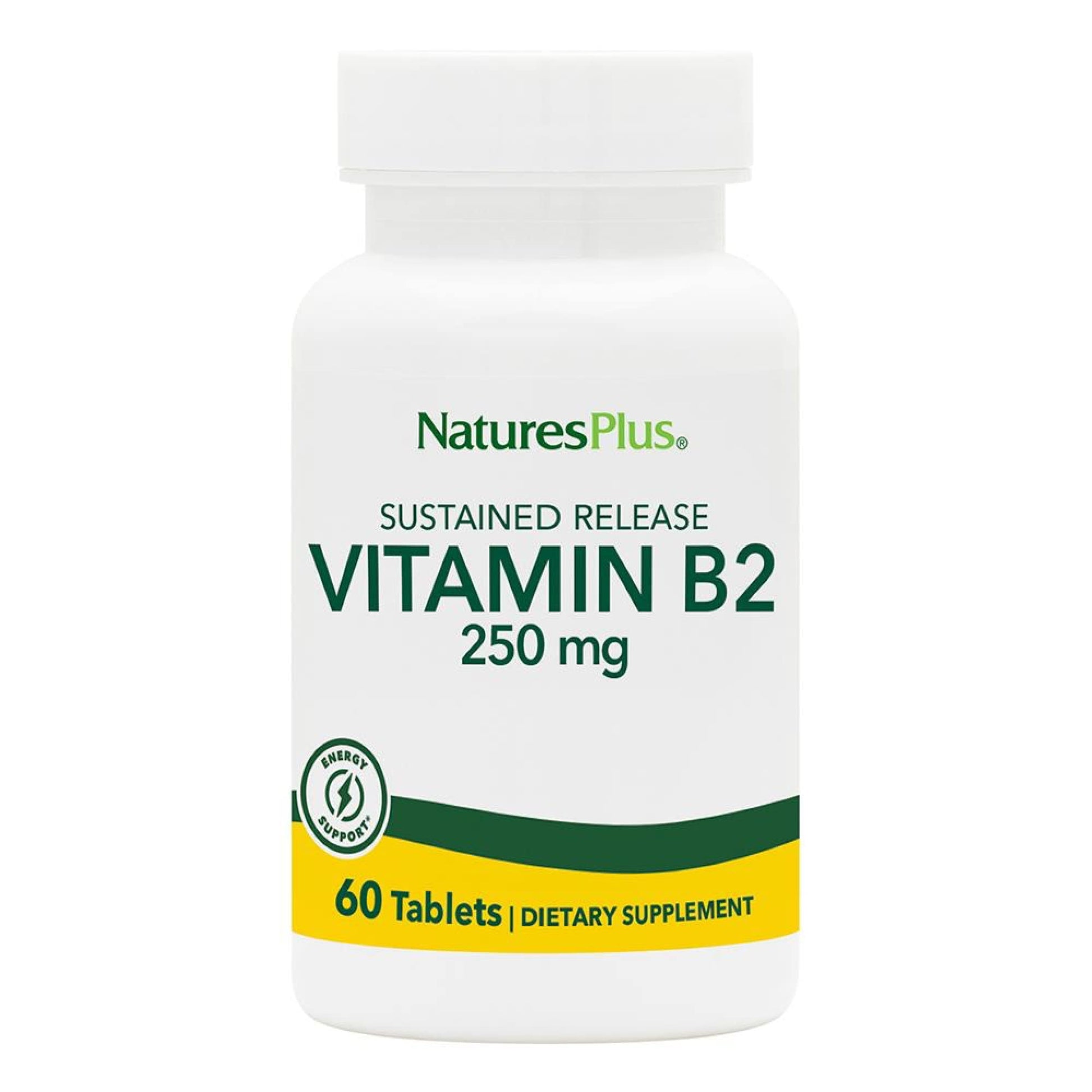 NaturesPlus Vitamin B2 250 mg Sustained Release Tablets, 60 Count