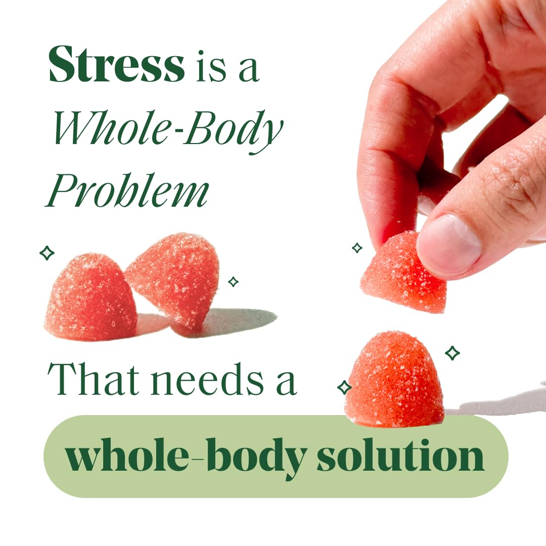 Semaine Stress Less Gummy with Cortisol Care 60 Gummies