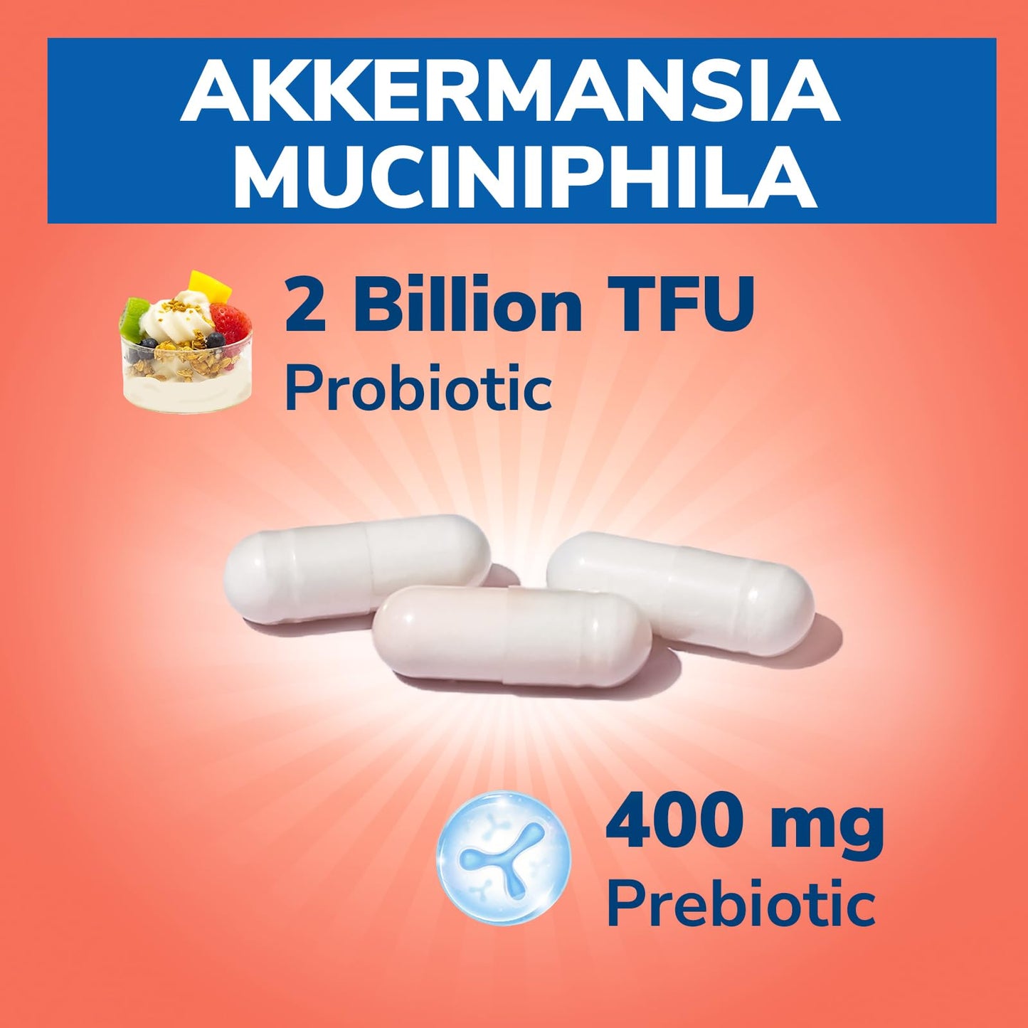 Vitalibre Akkermansia Muciniphila Probiotic Capsule, 60 Capsules