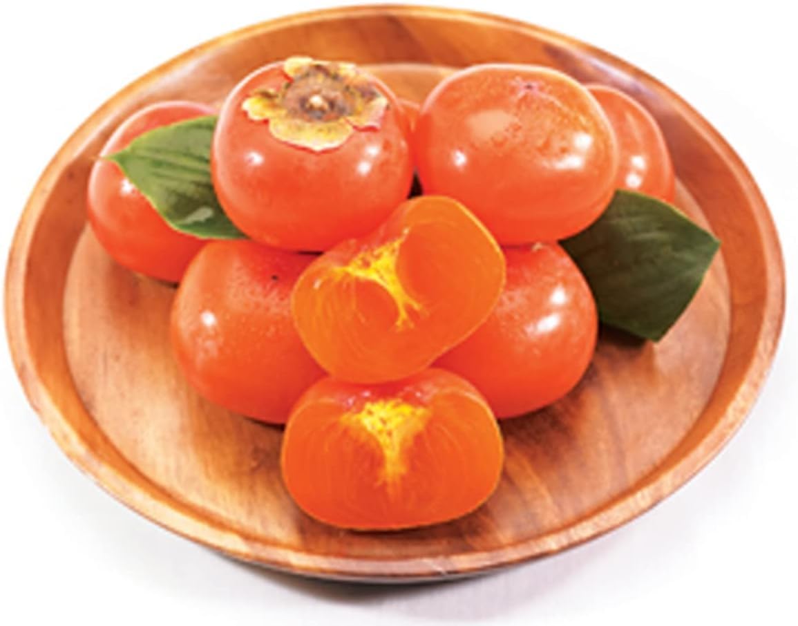 PALPLUS Persimmon Extract Powder 1 Pack