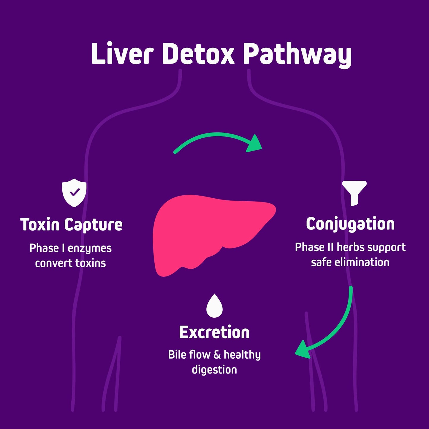 Herbtonics Liver Cleanse Detox & Repair Supplement with Milk Thistle & Artichoke 20-in-1 Liver Support Formula, 120 Capsules