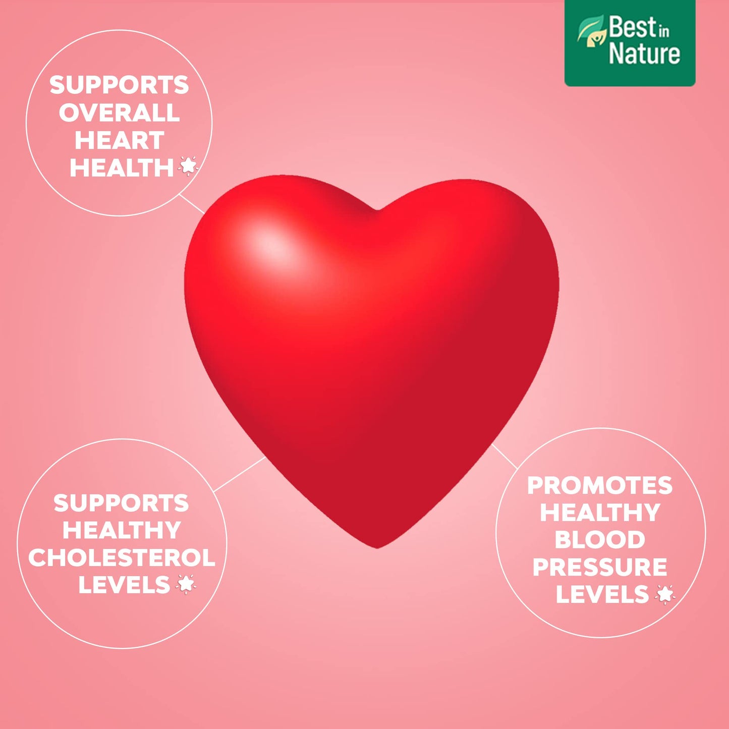 Best in Nature VigorHeart The Natural Heart Supplements with CoQ10, Salvia Miltiorrhiza, and Panax Pseudoginseng Capsules, 30 Count